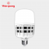 Đèn LED Bulb công suất lớn Điện Quang ĐQ LEDBU09 25765 