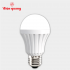 Đèn LED bulb thân nhựa Điện Quang ĐQ LEDBUA50 03727 